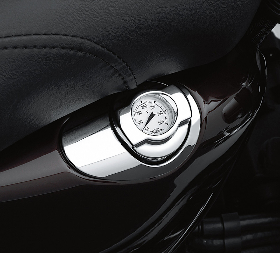 Oil Dipstick with Temperature Gauge - Image 2
